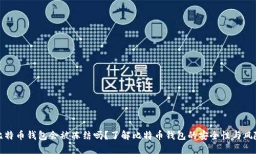 比特币钱包会被冻结吗？了解比特币钱包的安全性与风险